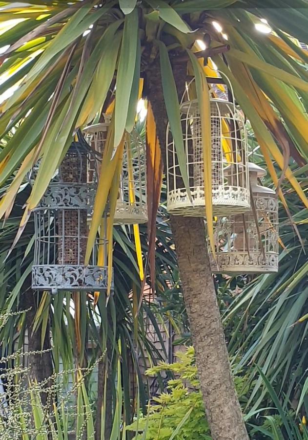 Tropical Garden Oasis Rooms Birmingham Extérieur photo