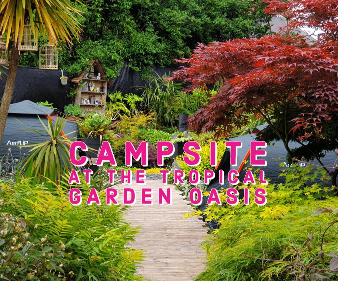 Tropical Garden Oasis Rooms Birmingham Chambre photo